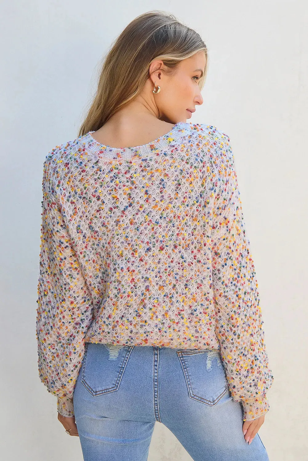 Confetti Round Neck Long Sleeve Sweater