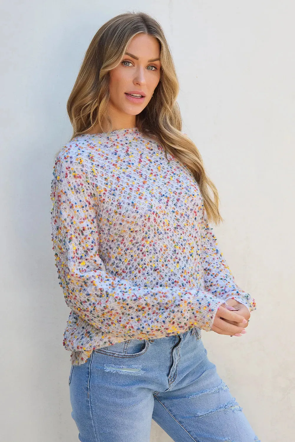 Confetti Round Neck Long Sleeve Sweater