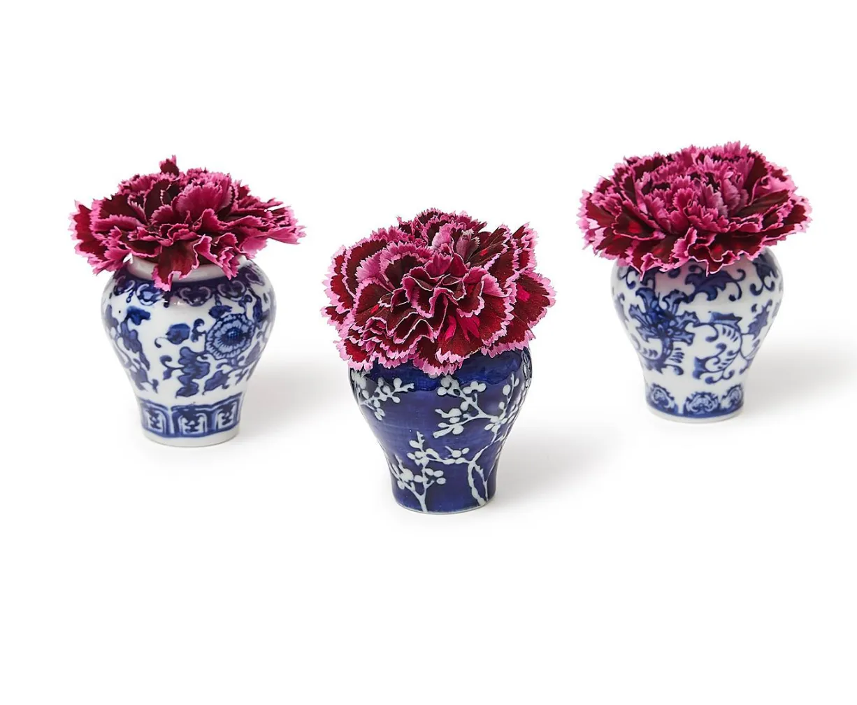 MINI GINGER JAR WITH PICKS  - 3 STYLES