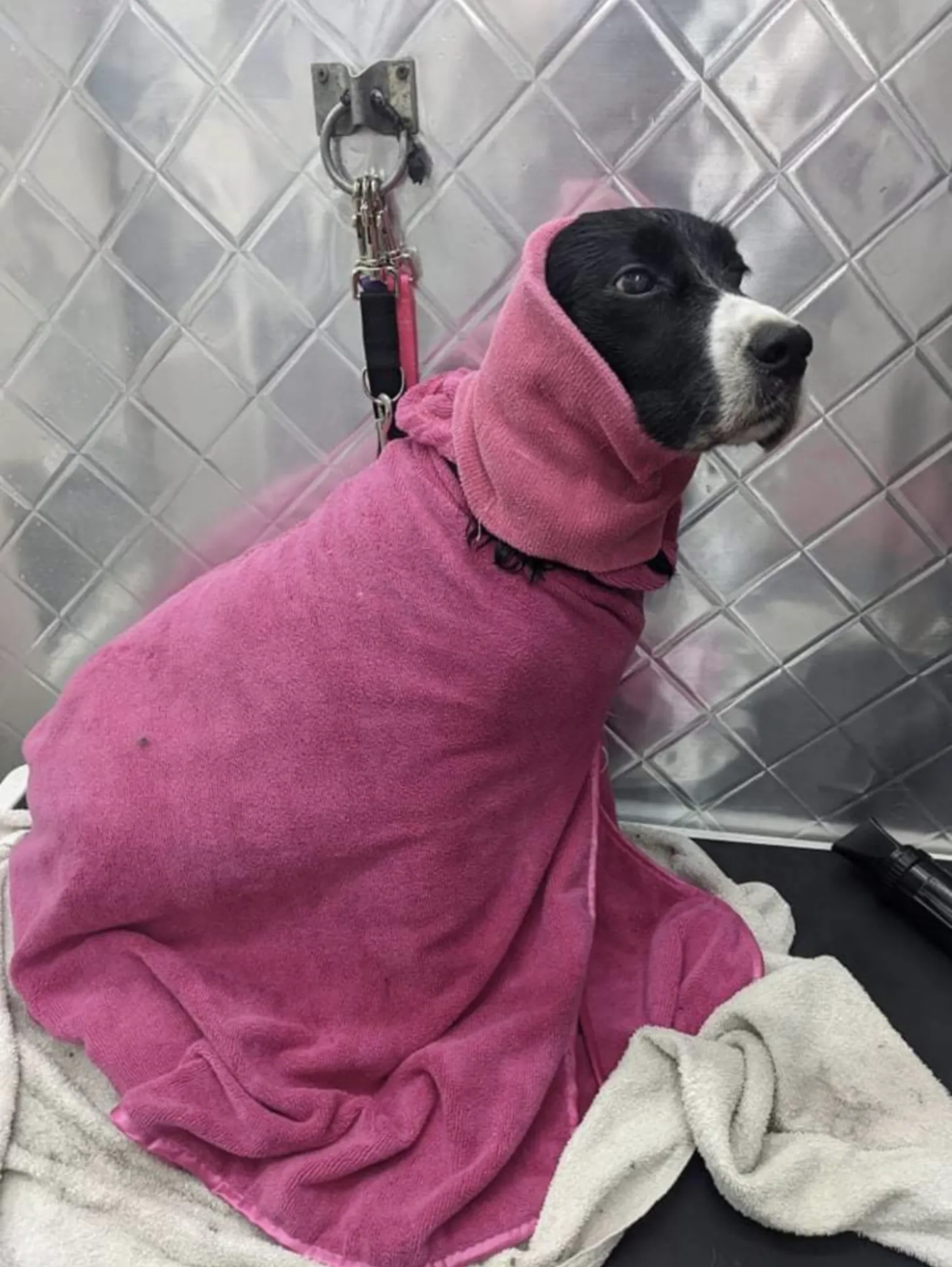 Show Tech Dry Dude Bathrobe-Hot Pink