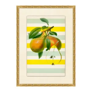 Striped Pear 1