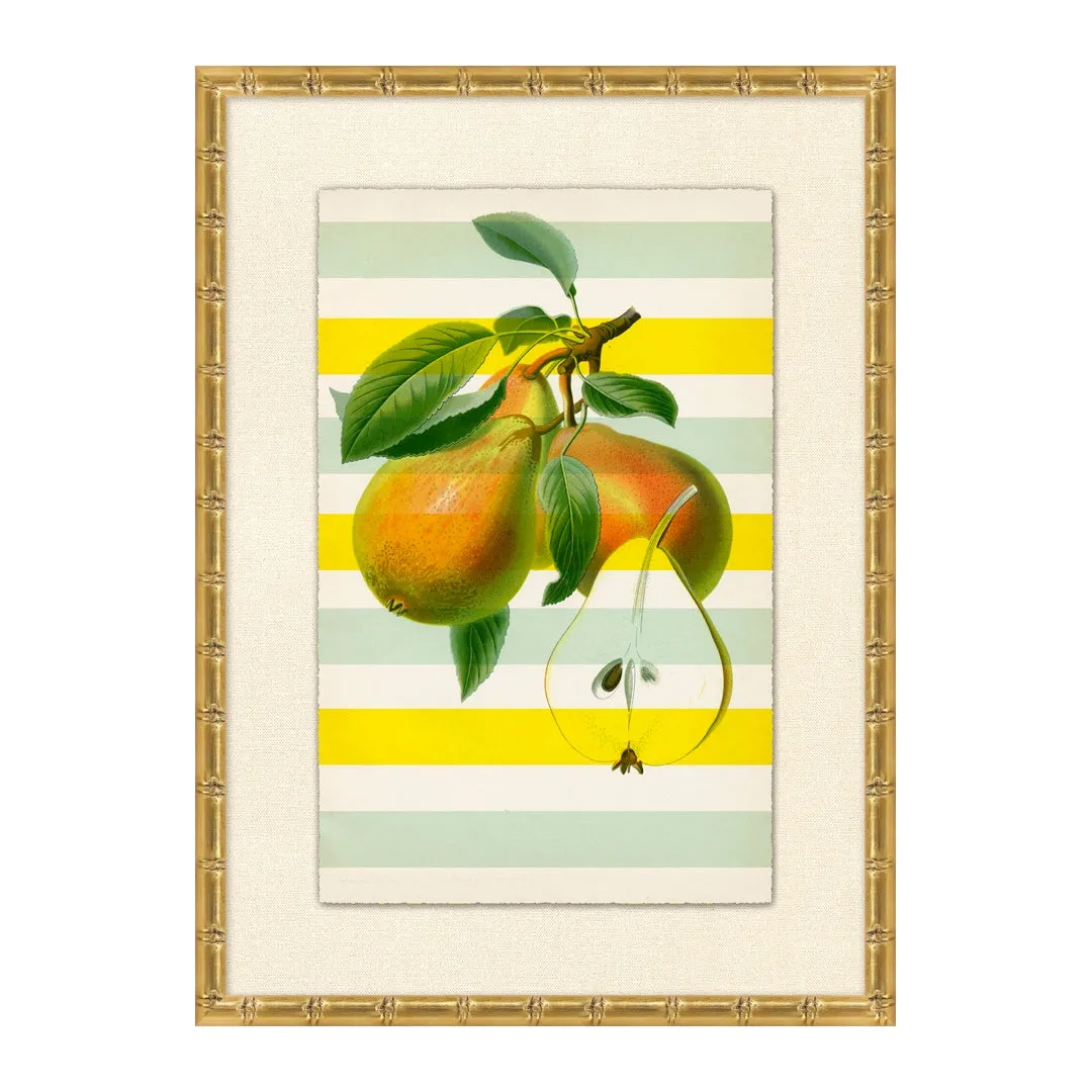 Striped Pear 1